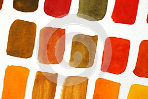 Watercolor swatches of warm colors on white background