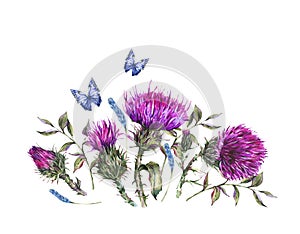 Watercolor thistle, blue butterflies, wild flowers illustration, meadow herbs vintage greeting card