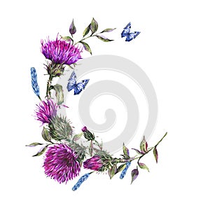 Watercolor thistle round frame, blue butterflies, wild flowers illustration