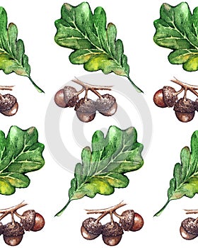 Watercolor three oak green leaf acorn seed seamless pattern background