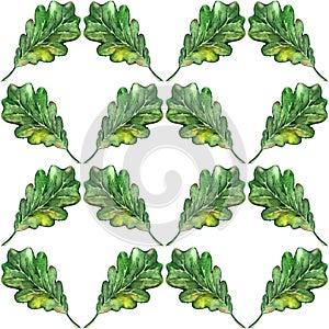 Watercolor three oak green leaf acorn seed seamless pattern background