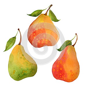 Watercolor three pears