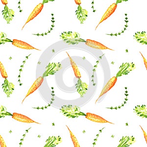 Watercolor thyme herb and orange carrot seamless pattern. Hand drawn mage for fabric, textile, fashion, packaging , wallpaper prin