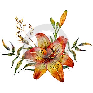 Watercolor Tiger lily