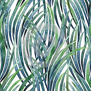 Watercolor tillandsia cyanea pattern photo