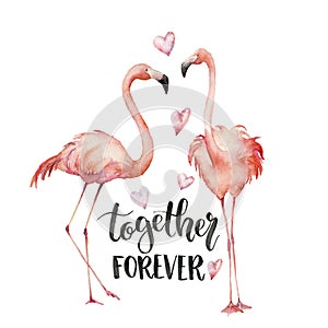 Watercolor Together forever card. Hand painted Flamingo couple with hearts and lettering isolated on white background
