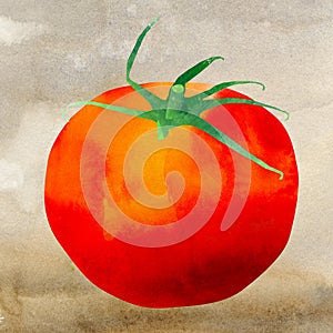 Watercolor tomato illustration with background