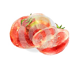 Watercolor tomatoes on white background