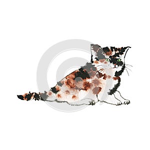 Watercolor tortoise shell kitten