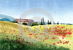 Watercolor Toscana poppy field in a bright sunny day