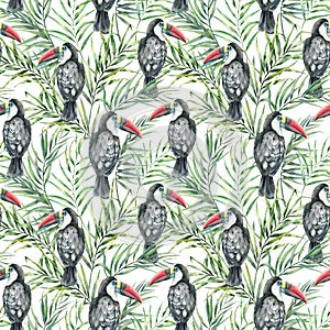 Watercolor toucan seamless pattern. Hand painted illustration with tropical bird and palm leaves isolated on white