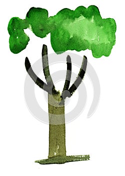 Watercolor tree impression painting