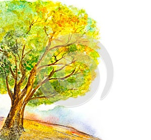 Watercolor tree nature background