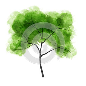 Watercolor tree. Vector illustration