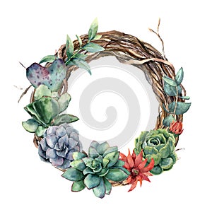 Watercolor tree wreath with cactus and succulent. Hand painted opuntia, echeveria, eucalyptus leaves with succulent