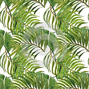 Watercolor trendy tropical print. Seamless pattern with exotic green leaves. Hand painted palm leaf on white background. Botanical