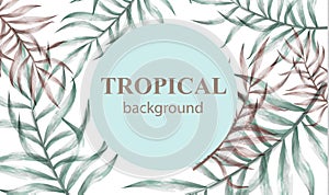 Watercolor tropic palm leaves Vector. Summer extotic backgrounds