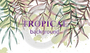 Watercolor tropic palm leaves Vector. Summer extotic backgrounds