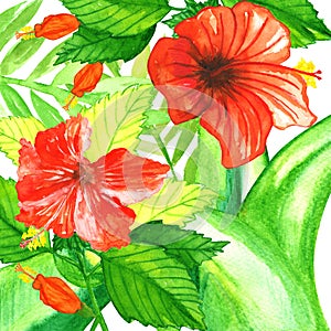 Watercolor tropic plants with red hibiscus