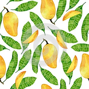 Watercolor tropic seamless pattern with mango fruits and leaves.Hand drawn illustration on white background.Vietnamese fr