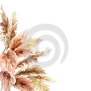 Watercolor tropical border with dry pampas grass and gold textures. Hand painted exotic frame isolated on white