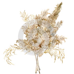 Watercolor tropical bouquet of dry and gold pampas grass. Hand painted exotic card of plant isolated on white background photo