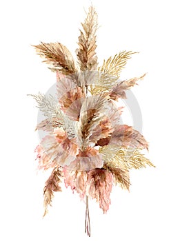 Watercolor tropical bouquet with dry pampas grass and gold textures. Hand painted exotic card isolated on white