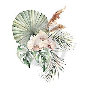 Watercolor tropical bouquet with orchids and palm leaves. Hand painted flowers, coconut and monstera leaves, pampas