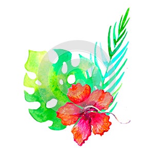 Watercolor tropical bouquet traditional drawing. Painting aquarelle exotic flower isolated on white background