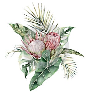 Watercolor tropical card with King and Queen proteas, palm and monstera leaves. Hand painted pink flowers and leaves