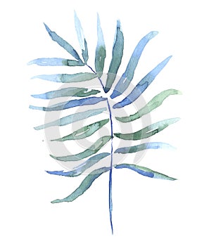 Watercolor tropical coconut blue leaf