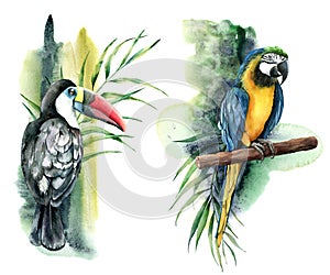 Watercolor tropical composition with tucan and parrots. Hand painted yellow macaw, palm and banana branch isolated on