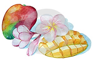 Watercolor tropical composition. Whole and sliced mango fruit and plumeria flowers.