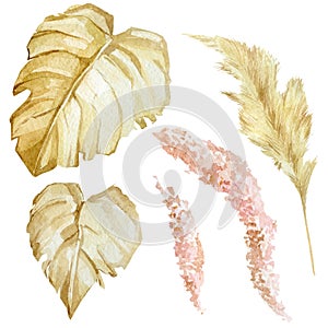 Watercolor tropical floral elements. Glomour golden color leaves and flowers for trendy boho and modern style.