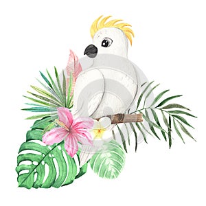 Watercolor tropical flower and parrot composition