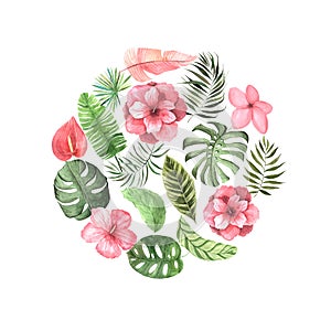 Watercolor tropical flowers, leaves and plants