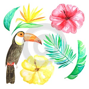 Watercolor tropical flowers, leaves and toucan