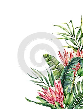 Watercolor tropical flowers and palm leaves card. Hand painted protea and leaves isolated on white background. Nature