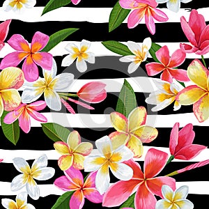 Watercolor Tropical Flowers and Palm Leaves Seamless Pattern. Floral Hand Drawn Background. Blooming Plumeria Flowers photo
