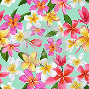 Watercolor Tropical Flowers Seamless Pattern. Floral Hand Drawn Background. Exotic Plumeria Flowers Design for Fabric photo