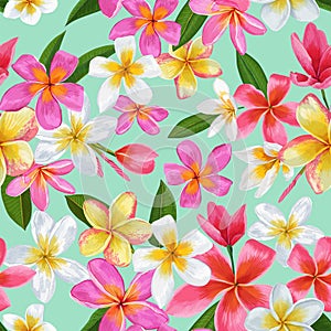 Watercolor Tropical Flowers Seamless Pattern. Floral Hand Drawn Background. Exotic Plumeria Flowers Design for Fabric