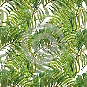 Watercolor tropical forest seamless pattern with exotic green leaves. Hand painted palm leaf on white background. Botanical print