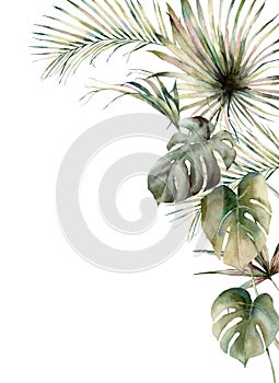 Watercolor tropical frame with coconut and monstera leaves. Hand painted exotic leaves isolated on white background