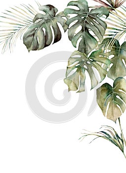 Watercolor tropical frame with monstera and coconut leaves. Hand painted exotic leaves isolated on white background