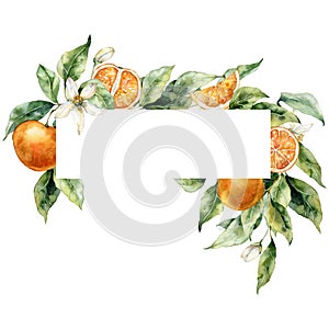 Watercolor tropical frame of ripe oranges, leaves, buds and flowers. Hand painted branch of fresh fruits isolated on