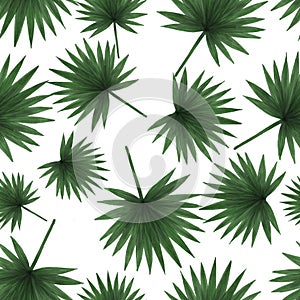 Watercolor tropical green palm leaves seamless pattern.