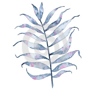 Watercolor tropical hand painted indigo leaf isolated on white background