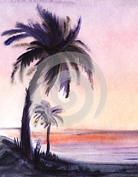 Watercolor tropical landscape of sunset beach. Dark blurry silhouette of big hairy palm with wide thick leaves against tender