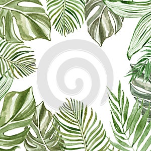 Watercolor tropical leaves and branches on white background with space for text. Exotic green plants frame