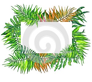 Watercolor tropical leaves and flowers wreath!Watercolor exotic floral card. Hand painted tropic frame with palm tree leaves and t